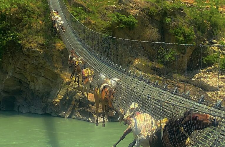Trapped Donkeys rescued from karnali river suspension bridge, two die tragically