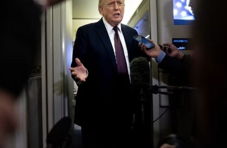 Trump to send ice agents to airports during partial government shutdown