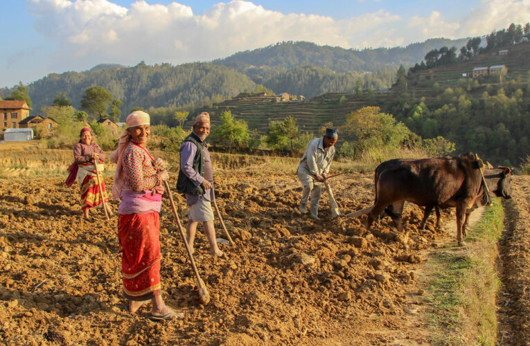 Food Becomes Nepal’s Next Big Dependency After Fuel